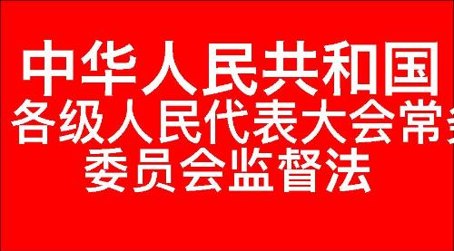 中华人民共和国各级人民代表大会常务委员会监督法