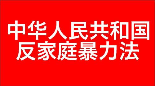 中华人民共和国反家庭暴力法