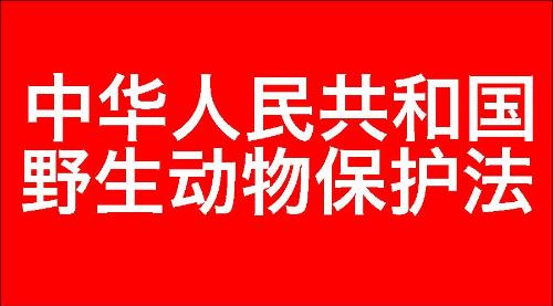 中华人民共和国野生动物保护法