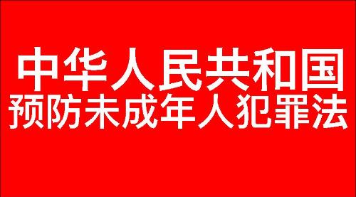 中华人民共和国预防未成年人犯罪法