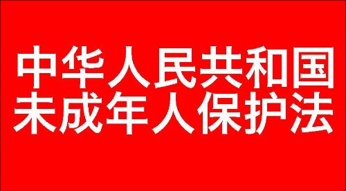 中华人民共和国未成年人保护法