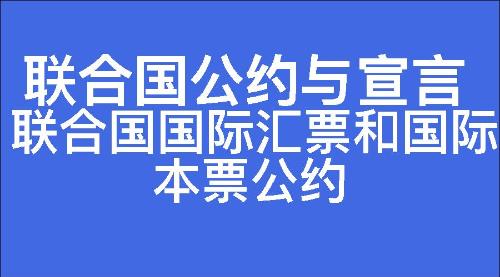 联合国国际汇票和国际本票公约