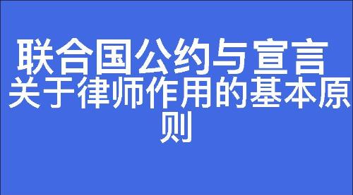 关于律师作用的基本原则