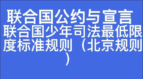 联合国少年司法最低限度标准规则（北京规则）