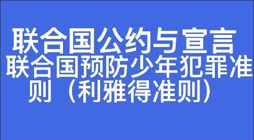 联合国预防少年犯罪准则（利雅得准则）