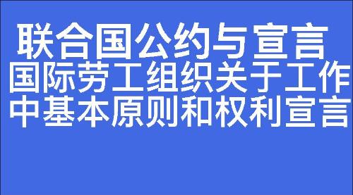 国际劳工组织关于工作中基本原则和权利宣言