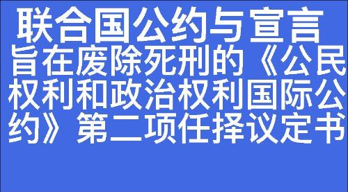 旨在废除死刑的《公民权利和政治权利国际公约》第二项任择议定书