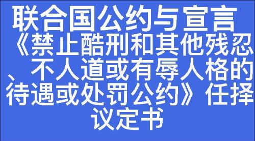 《禁止酷刑和其他残忍、不人道或有辱人格的待遇或处罚公约》任择议定书