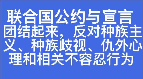 团结起来，反对种族主义、种族歧视、仇外心理和相关不容忍行为