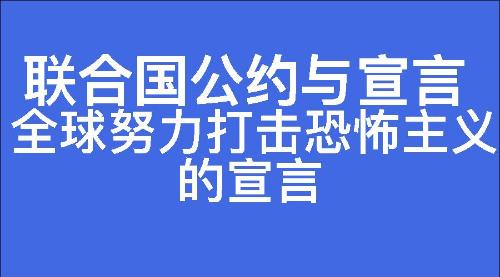 全球努力打击恐怖主义的宣言