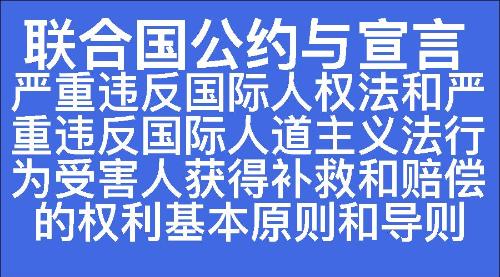 严重违反国际人权法和严重违反国际人道主义法行为受害人获得补救和赔偿的权利基本原则和导则