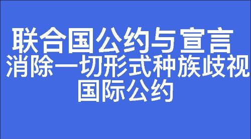 消除一切形式种族歧视国际公约