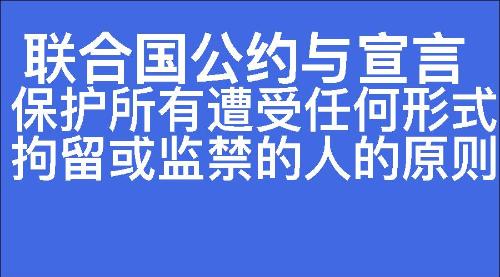 保护所有遭受任何形式拘留或监禁的人的原则