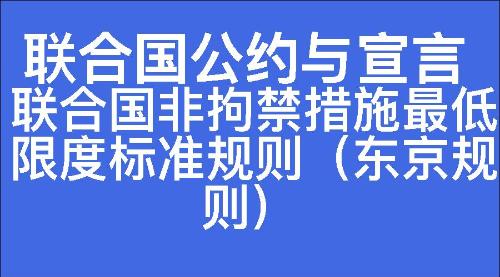 联合国非拘禁措施最低限度标准规则（东京规则）