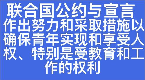 作出努力和采取措施以确保青年实现和享受人权、特别是受教育和工作的权利