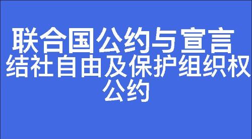 结社自由及保护组织权公约