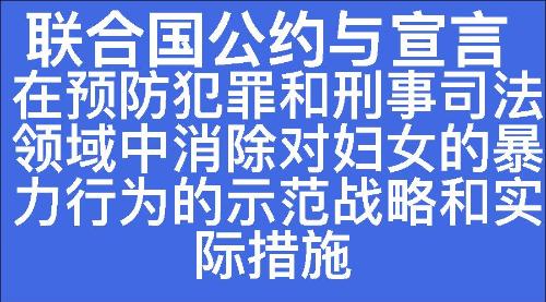 在预防犯罪和刑事司法领域中消除对妇女的暴力行为的示范战略和实际措施