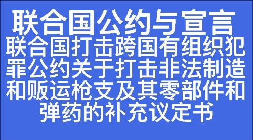 联合国打击跨国有组织犯罪公约关于打击非法制造和贩运枪支及其零部件和弹药的补充议定书