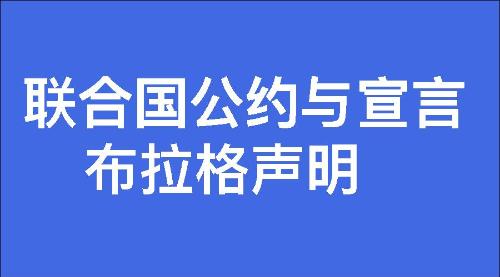 布拉格声明