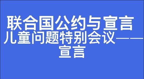 儿童问题特别会议——宣言