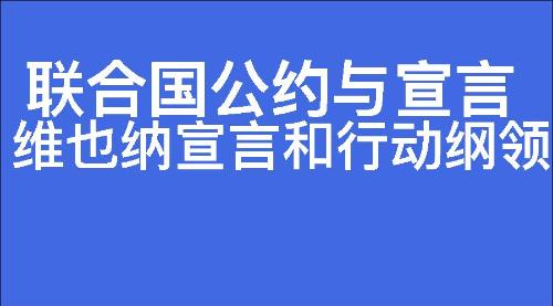 维也纳宣言和行动纲领