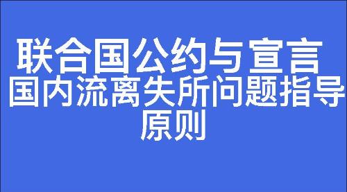 国内流离失所问题指导原则