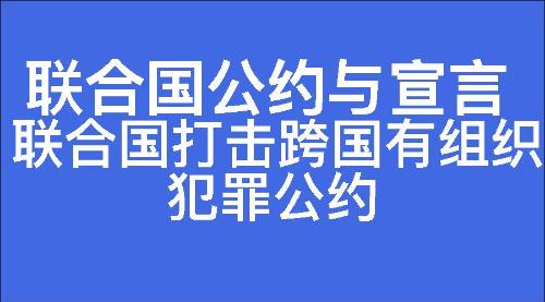 联合国打击跨国有组织犯罪公约