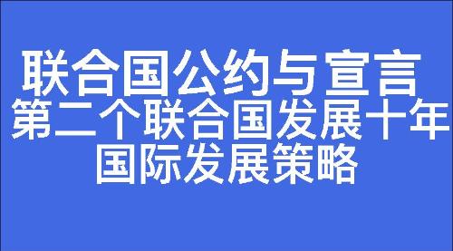 第二个联合国发展十年国际发展策略