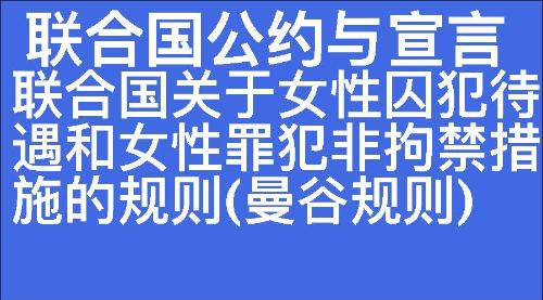 联合国关于女性囚犯待遇和女性罪犯非拘禁措施的规则(曼谷规则)