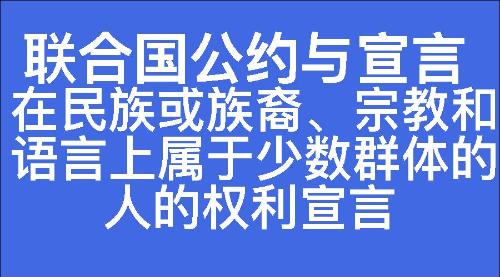 在民族或族裔、宗教和语言上属于少数群体的人的权利宣言