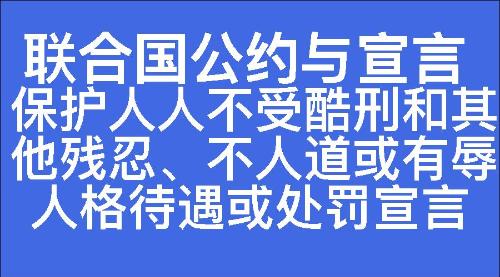 保护人人不受酷刑和其他残忍、不人道或有辱人格待遇或处罚宣言