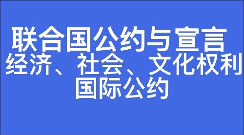 经济、社会、文化权利国际公约