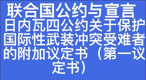 日内瓦四公约关于保护国际性武装冲突受难者的附加议定书（第一议定书）