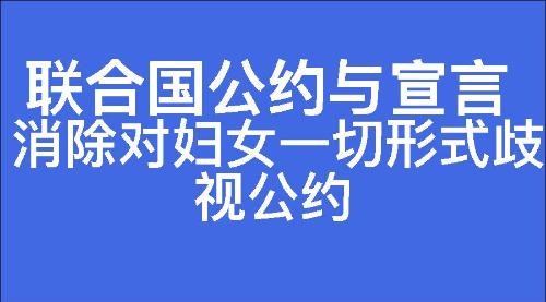 消除对妇女一切形式歧视公约