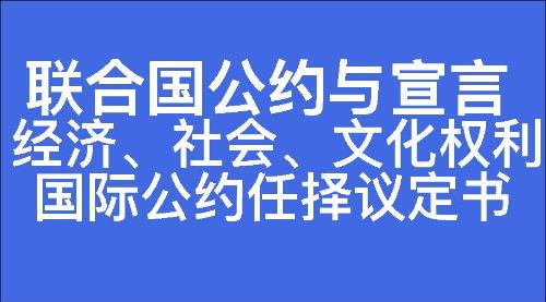 经济、社会、文化权利国际公约任择议定书