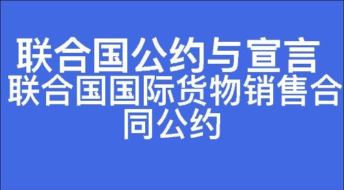 联合国国际货物销售合同公约