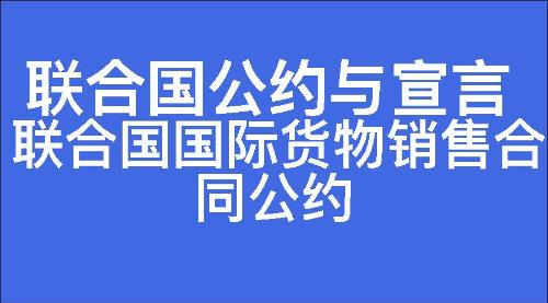 联合国国际货物销售合同公约