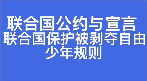 联合国保护被剥夺自由少年规则