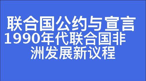 1990年代联合国非洲发展新议程