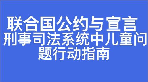 刑事司法系统中儿童问题行动指南