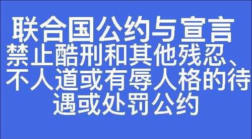 禁止酷刑和其他残忍、不人道或有辱人格的待遇或处罚公约