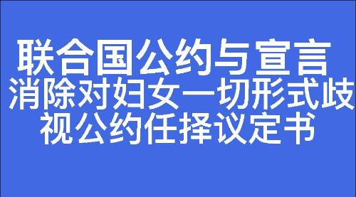 消除对妇女一切形式歧视公约任择议定书