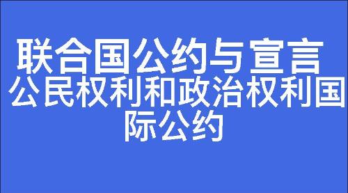 公民权利和政治权利国际公约