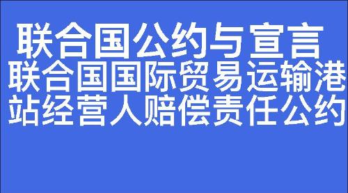 联合国国际贸易运输港站经营人赔偿责任公约