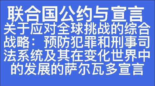 关于应对全球挑战的综合战略：预防犯罪和刑事司法系统及其在变化世界中的发展的萨尔瓦多宣言