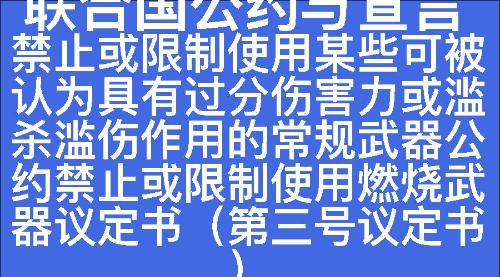 禁止或限制使用某些可被认为具有过分伤害力或滥杀滥伤作用的常规武器公约禁止或限制使用燃烧武器议定书（第三号议定书）