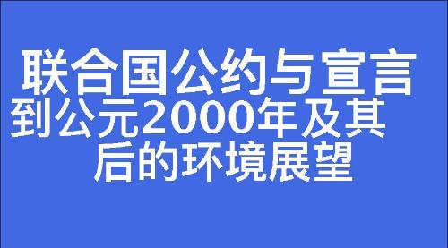 到公元2000年及其后的环境展望