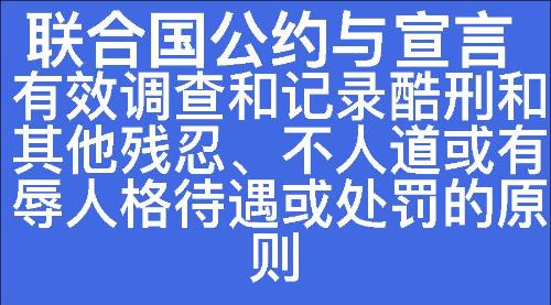 有效调查和记录酷刑和其他残忍、不人道或有辱人格待遇或处罚的原则