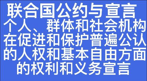 个人、群体和社会机构在促进和保护普遍公认的人权和基本自由方面的权利和义务宣言