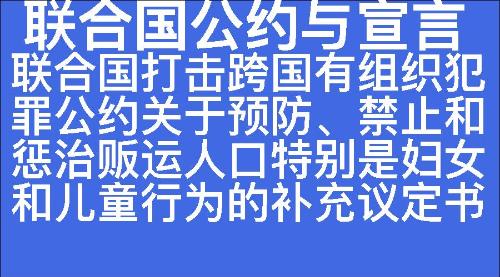 联合国打击跨国有组织犯罪公约关于预防、禁止和惩治贩运人口特别是妇女和儿童行为的补充议定书